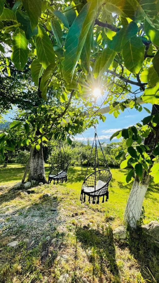 Bălan Green Garden Glamping Retezat מראה חיצוני תמונה